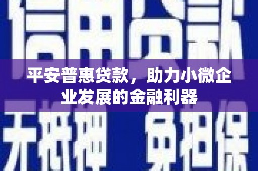 新林平安普惠贷款，助力小微企业发展的金融利器