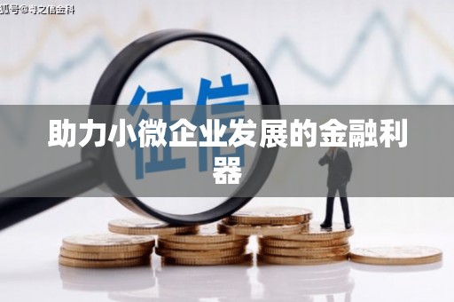 新林助力小微企业发展的金融利器