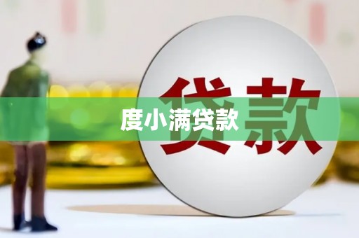 新林度小满贷款
