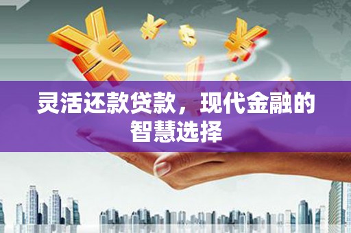 新林灵活还款贷款，现代金融的智慧选择