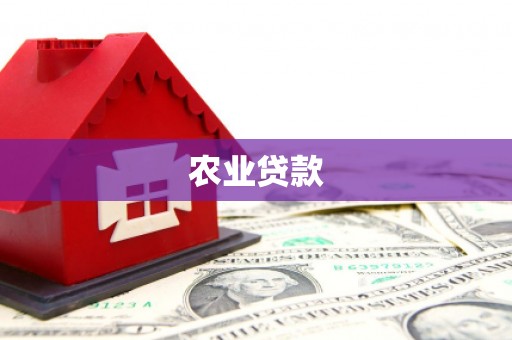 新林农业贷款