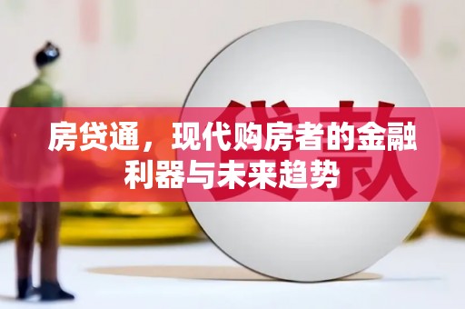新林房贷通，现代购房者的金融利器与未来趋势