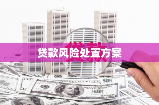 新林贷款风险处置方案