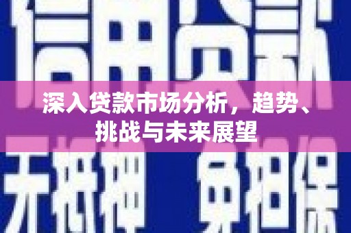 新林深入贷款市场分析，趋势、挑战与未来展望