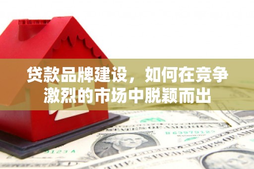 新林贷款品牌建设，如何在竞争激烈的市场中脱颖而出