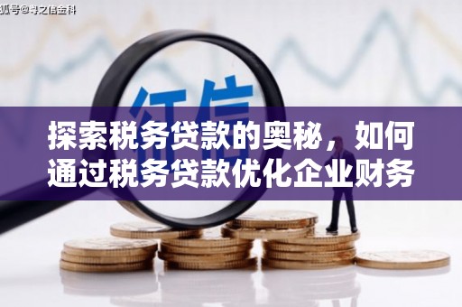 新林探索税务贷款的奥秘，如何通过税务贷款优化企业财务