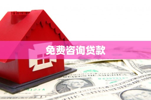 新林免费咨询贷款