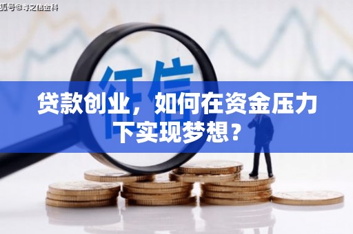 新林贷款创业，如何在资金压力下实现梦想？