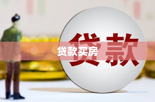 新林贷款买房