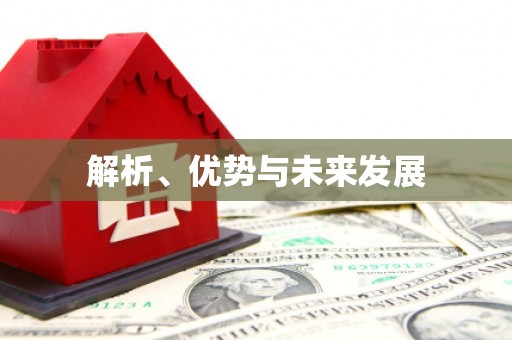 新林解析、优势与未来发展