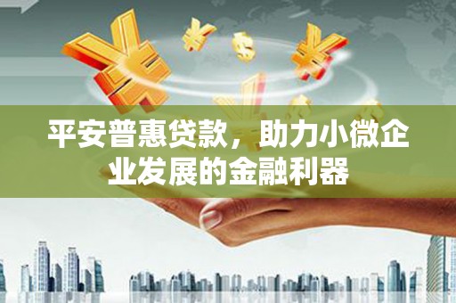 新林平安普惠贷款，助力小微企业发展的金融利器