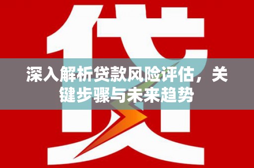新林深入解析贷款风险评估，关键步骤与未来趋势