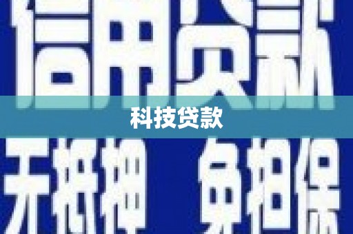 新林科技贷款