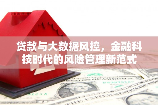 新林贷款与大数据风控，金融科技时代的风险管理新范式