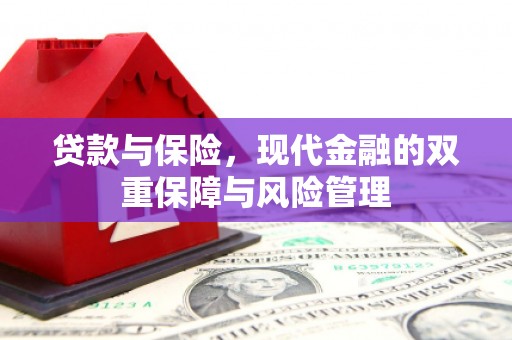 新林贷款与保险，现代金融的双重保障与风险管理