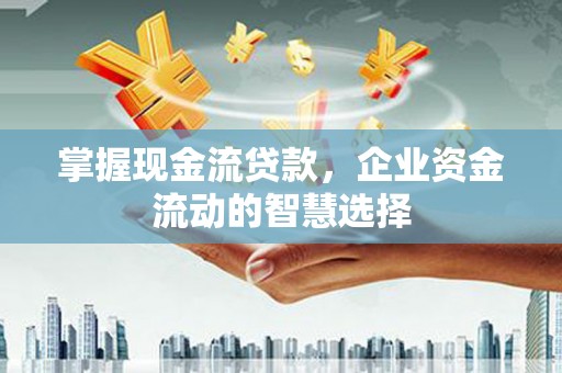 新林掌握现金流贷款，企业资金流动的智慧选择