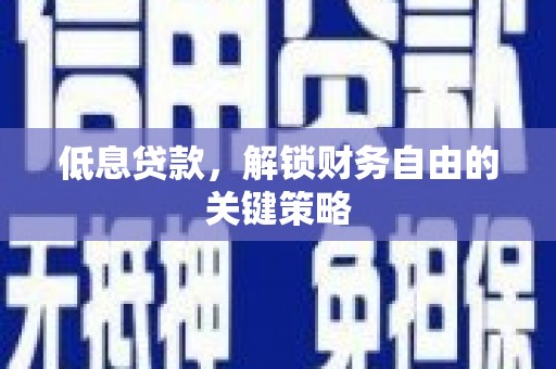 新林低息贷款，解锁财务自由的关键策略