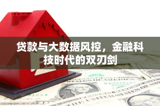 新林贷款与大数据风控，金融科技时代的双刃剑