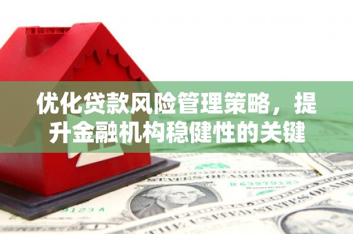 新林优化贷款风险管理策略，提升金融机构稳健性的关键
