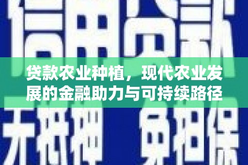 新林贷款农业种植，现代农业发展的金融助力与可持续路径