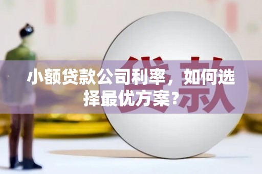新林小额贷款公司利率，如何选择最优方案？