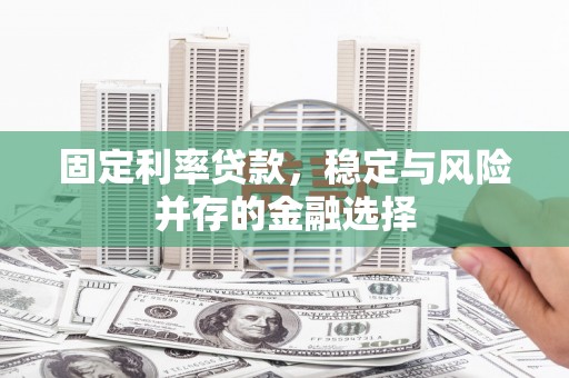 新林固定利率贷款，稳定与风险并存的金融选择