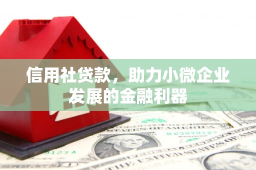 新林信用社贷款，助力小微企业发展的金融利器