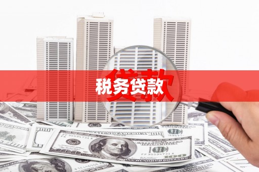 新林税务贷款