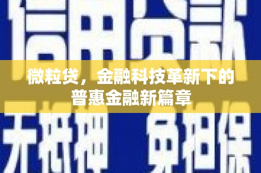 新林微粒贷，金融科技革新下的普惠金融新篇章