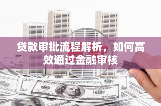 新林贷款审批流程解析，如何高效通过金融审核