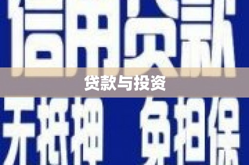 新林贷款与投资