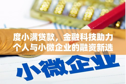 新林度小满贷款，金融科技助力个人与小微企业的融资新选择