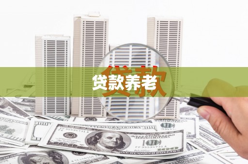 新林贷款养老