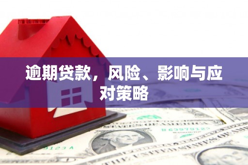 新林逾期贷款，风险、影响与应对策略