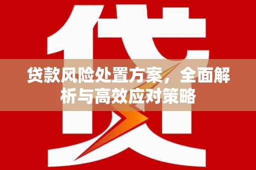新林贷款风险处置方案，全面解析与高效应对策略