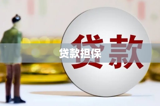 新林贷款担保