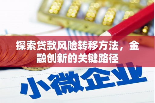 新林探索贷款风险转移方法，金融创新的关键路径