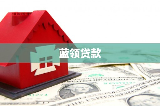 新林蓝领贷款
