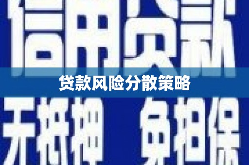 新林贷款风险分散策略