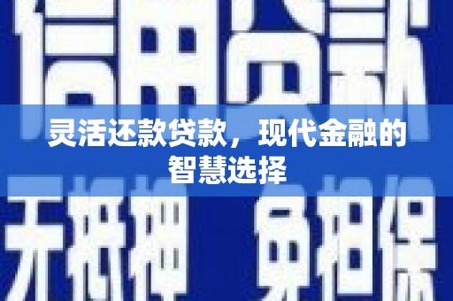 新林灵活还款贷款，现代金融的智慧选择