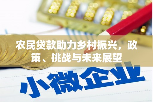 新林农民贷款助力乡村振兴，政策、挑战与未来展望
