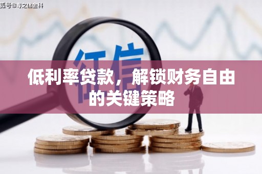 新林低利率贷款，解锁财务自由的关键策略