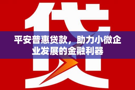 新林平安普惠贷款，助力小微企业发展的金融利器
