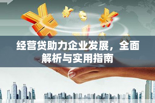 新林经营贷助力企业发展，全面解析与实用指南