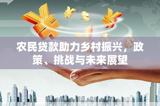 新林农民贷款助力乡村振兴，政策、挑战与未来展望