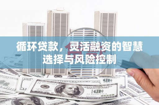 新林循环贷款，灵活融资的智慧选择与风险控制