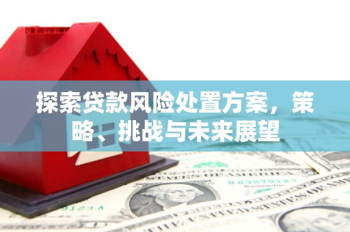 新林探索贷款风险处置方案，策略、挑战与未来展望