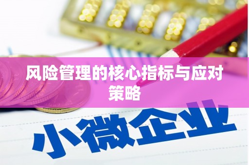新林风险管理的核心指标与应对策略
