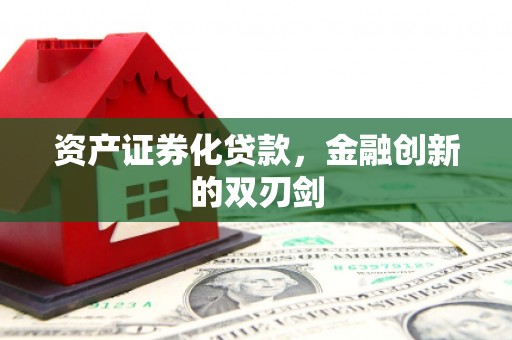 新林资产证券化贷款，金融创新的双刃剑