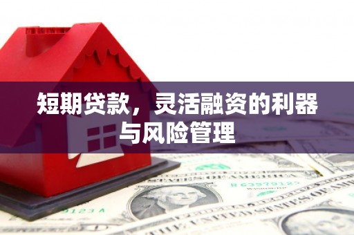 新林短期贷款，灵活融资的利器与风险管理